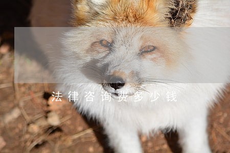 法律咨询费多少钱 法律咨询费多少钱