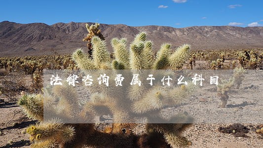 法律咨询费属于什么科目 法律咨询费属于什么科目