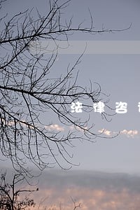 法律咨询费开票税率