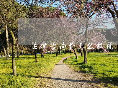 法律咨询费怎么报税 法律咨询费怎么报税