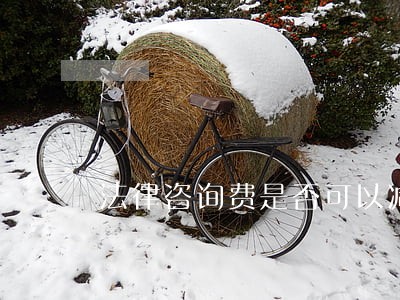 法律咨询费是否可以减免 法律咨询费是否可以减免