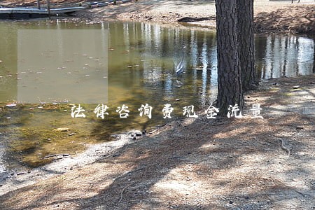 法律咨询费现金流量 法律咨询费现金流量