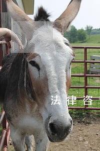 法律咨询费用如何收取 法律咨询费用如何收取