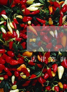 法律咨询费用报销规定 法律咨询费用报销规定