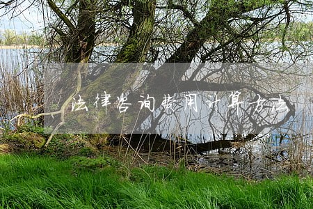 法律咨询费用计算方法 法律咨询费用计算方法