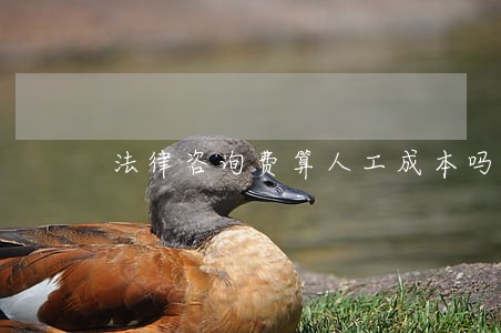 法律咨询费算人工成本吗 法律咨询费算人工成本吗