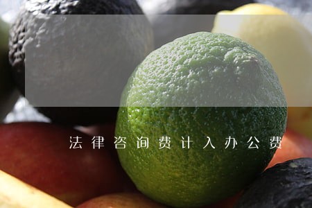 法律咨询费计入办公费 法律咨询费计入办公费