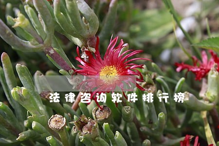 法律咨询软件排行榜 法律咨询软件排行榜