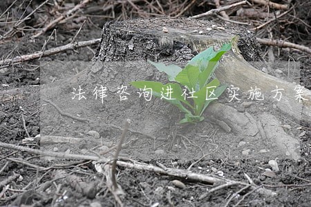 法律咨询进社区实施方案 法律咨询进社区实施方案
