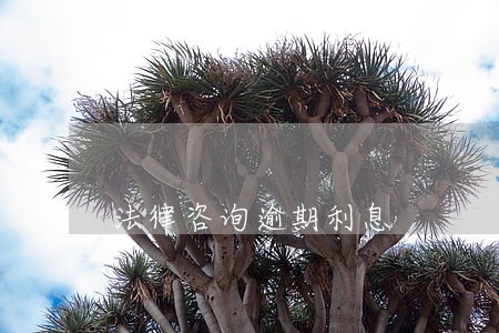 法律咨询逾期利息 法律咨询逾期利息