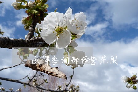 法律咨询部经营范围 法律咨询部经营范围