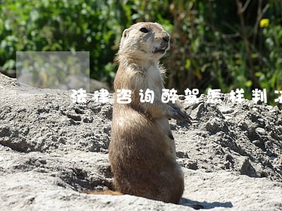 法律咨询醉驾怎样判决
