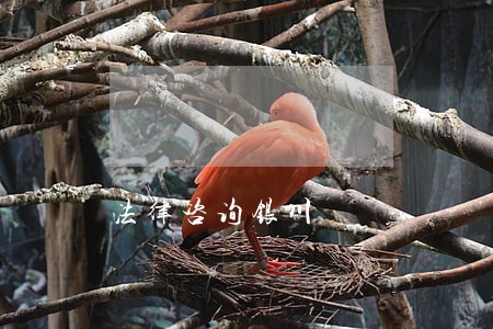 法律咨询银川 法律咨询银川