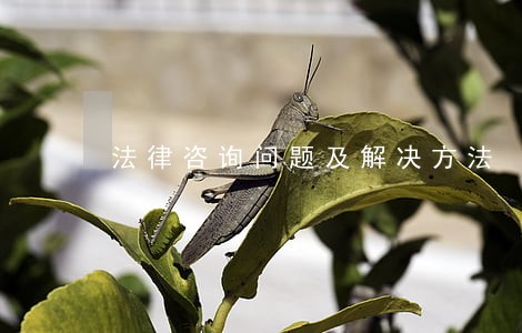 法律咨询问题及解决方法 法律咨询问题及解决方法