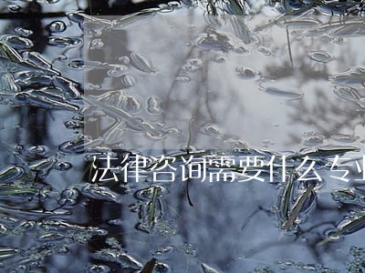 法律咨询需要什么专业 法律咨询需要什么专业