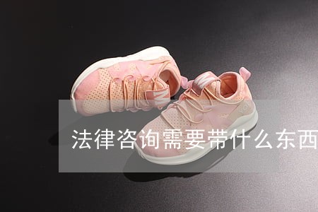 法律咨询需要带什么东西 法律咨询需要带什么东西