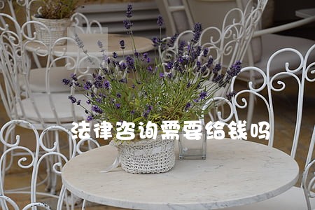 法律咨询需要给钱吗 法律咨询需要给钱吗