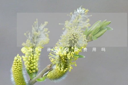 法律咨询需要费用吗 法律咨询需要费用吗