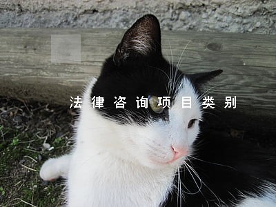法律咨询项目类别 法律咨询项目类别