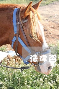 法律咨询顾问底薪多少 法律咨询顾问底薪多少