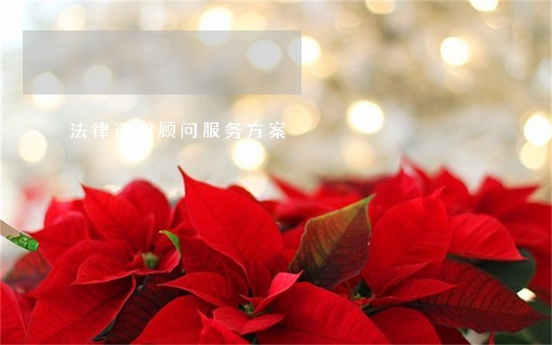 法律咨询顾问服务方案 法律咨询顾问服务方案