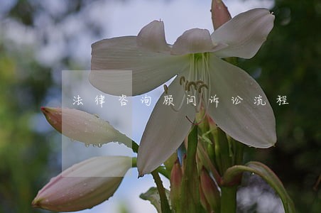法律咨询顾问诉讼流程 法律咨询顾问诉讼流程