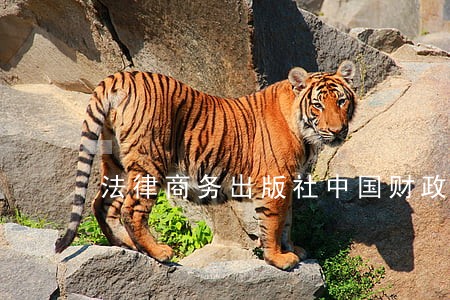 法律商务出版社中国财政经济出版社 法律商务出版社中国财政经济出版社