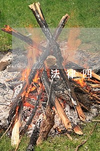 法律四川教育出版社中国林业出版社 法律四川教育出版社中国林业出版社