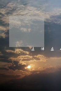 法律在我心中复习 法律在我心中复习
