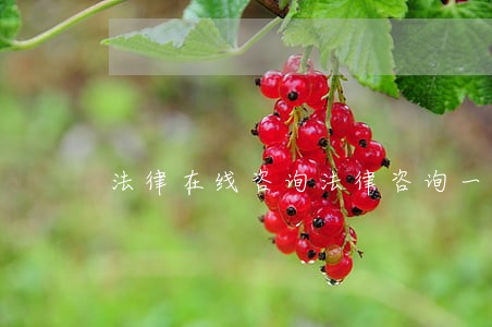 法律在线咨询法律咨询一对一咨询 法律在线咨询法律咨询一对一咨询