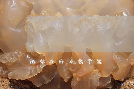 法律在给力教学案 法律在给力教学案