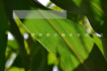 法律地震出版社中国社会科学出版社 法律地震出版社中国社会科学出版社