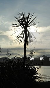 法律垂直搜索引擎有哪些 法律垂直搜索引擎有哪些
