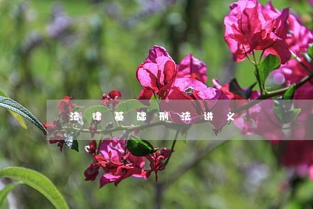 法律基础刑法讲义 法律基础刑法讲义