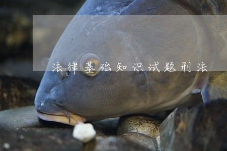 法律基础知识试题刑法