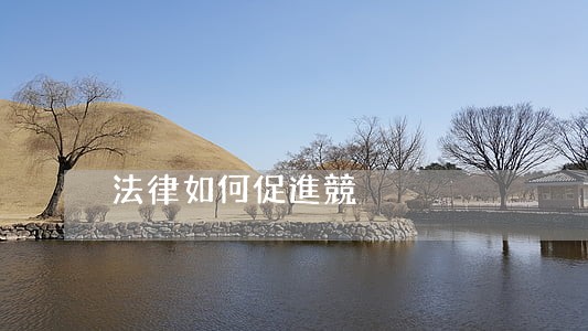 法律如何促進競爭 法律如何促進競爭