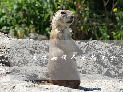 法律如何界定物业费逾期 法律如何界定物业费逾期