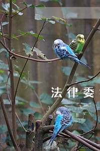 法律委托合同诉讼的转委托 法律委托合同诉讼的转委托