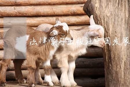 法律学习出版社中国发展出版社