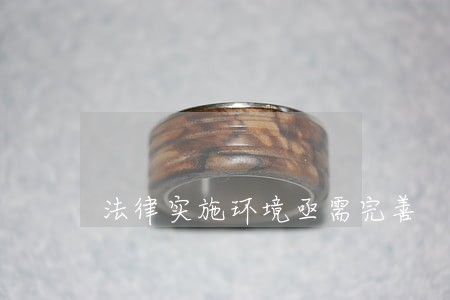 法律实施环境亟需完善 法律实施环境亟需完善