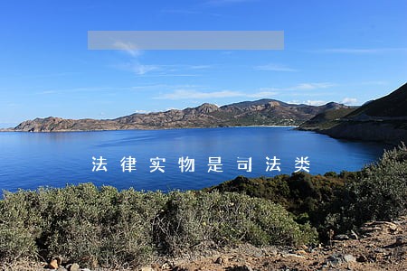 法律实物是司法类