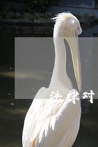 法律对于逾期还信用卡的 法律对于逾期还信用卡的