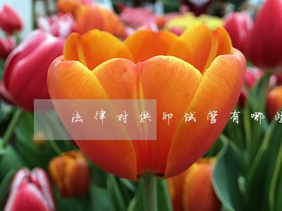 法律对供卵试管有哪些规定 法律对供卵试管有哪些规定