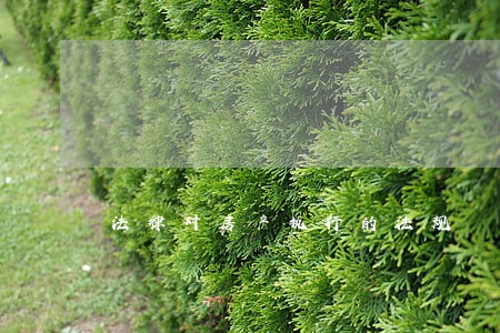 法律对房产执行的法规 法律对房产执行的法规