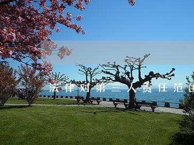 法律对第三人责任范围的引入 法律对第三人责任范围的引入