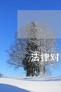 法律对签证逾期怎么看 法律对签证逾期怎么看
