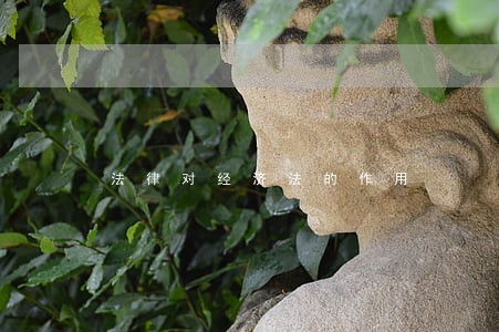 法律对经济法的作用 法律对经济法的作用