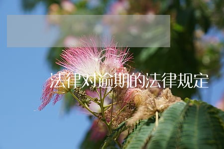 法律对逾期的法律规定 法律对逾期的法律规定