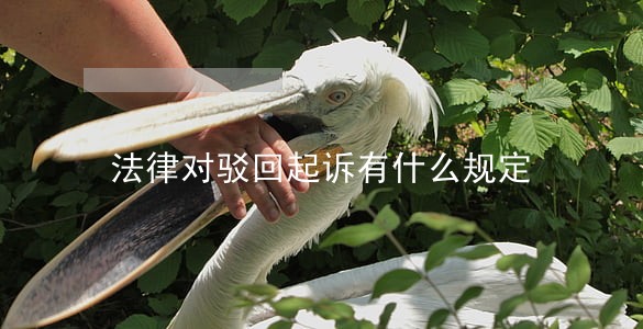 法律对驳回起诉有什么规定 法律对驳回起诉有什么规定