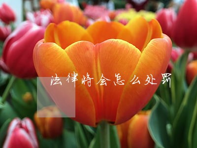 法律将会怎么处罚
